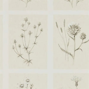 Pattern of botanical illustrations on a beige background