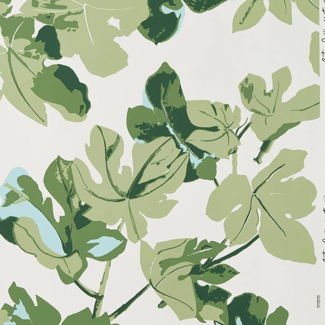 Fig Leaf Wallpaper Sample