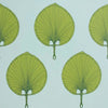 Fan Tan Wallpaper Sample - Green on Aqua