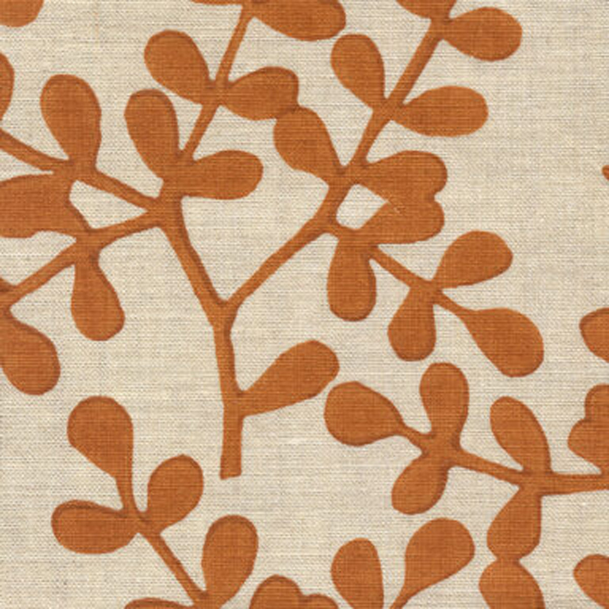 Smokebush in Apricot Fabric