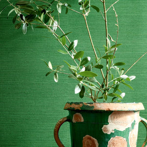 Shang Extra Fine Sisal Wallpaper Sample
