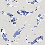 Pattern of blue and white koi fish on a beige background
