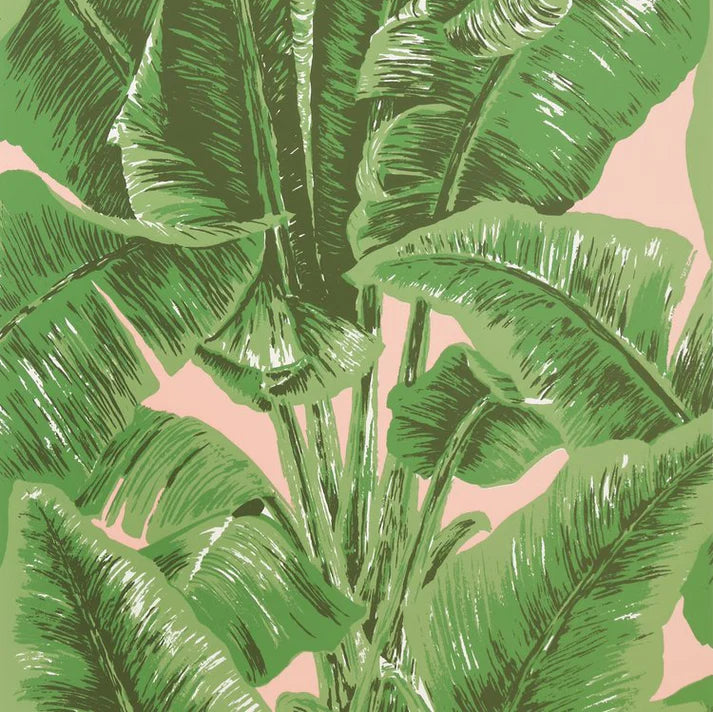 Banana Palm Leaves on wallpaper in green on pink