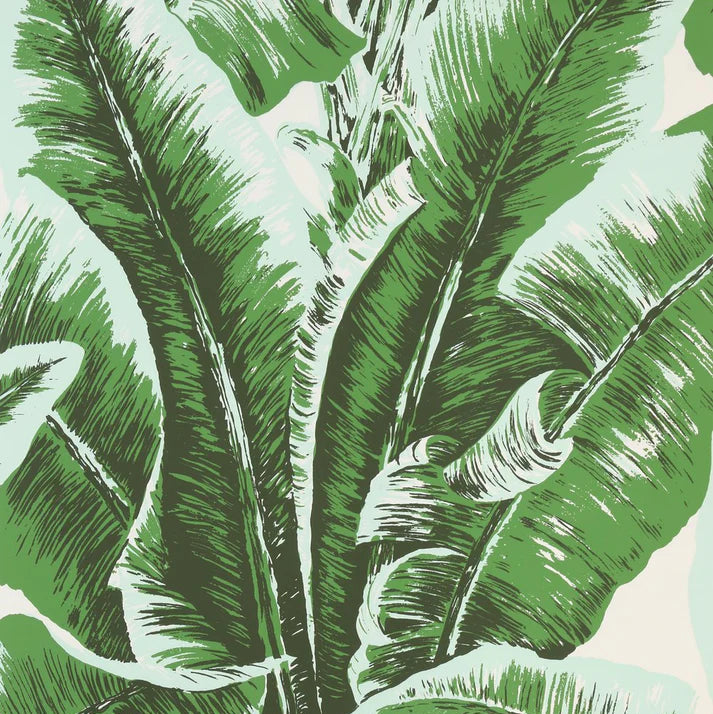 Banana Palm Leaves on wallpaper in green on white
