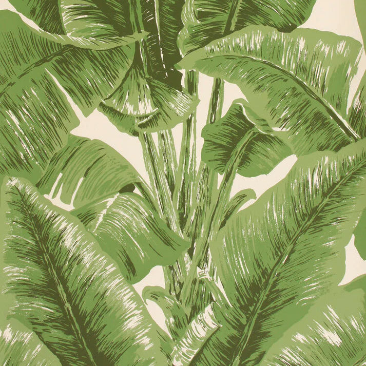 Banana Palm Leaves on wallpaper in green on cream