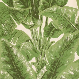 Banana Palm Leaves on wallpaper in green on cream