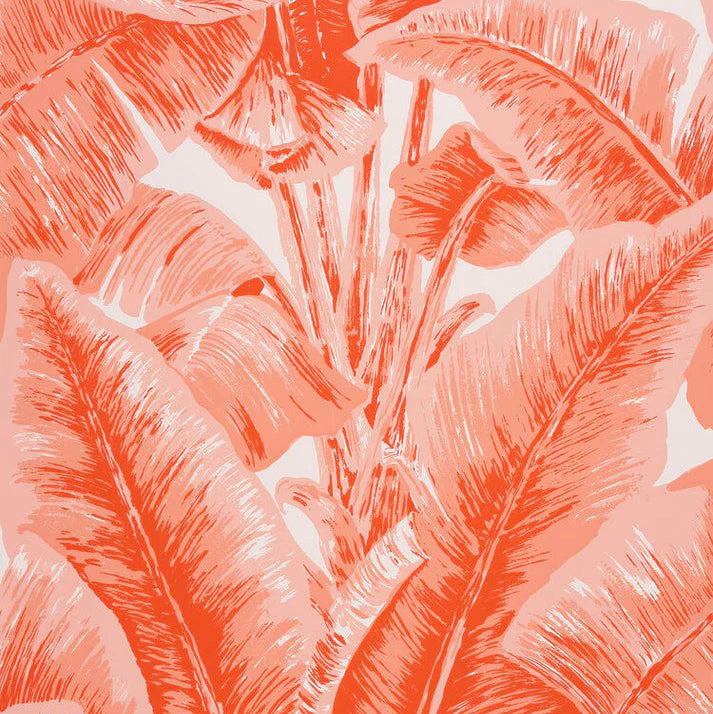 Banana Palm Leaves on wallpaper in bright coral shades on white paper