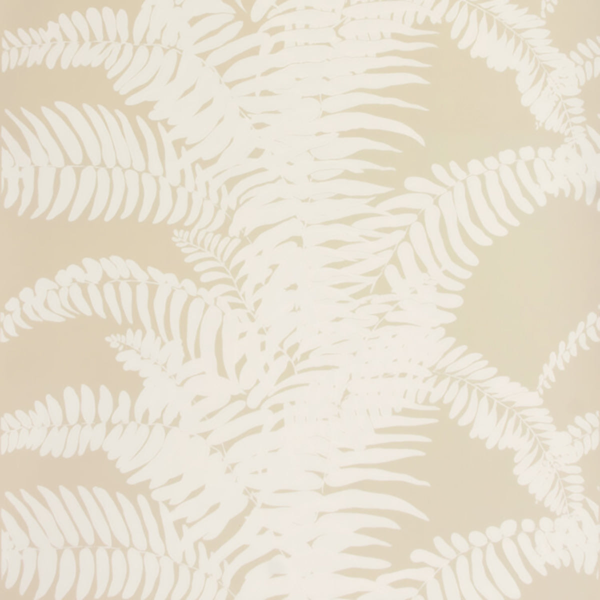 Ferns- White on Beige Wallpaper