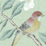 Vintage-style illustration of a small bird perched on a branch with white flowers against a pale green background.