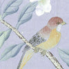 Maysong Wallpaper - Hyacinth