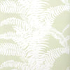Ferns Wallpaper Sample - White on Snowpea
