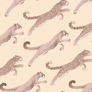 Amazon Big Cat Wallpaper