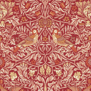 Bird Wallpaper Sample