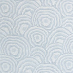 Pattern of concentric circles on a light blue background