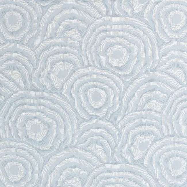 Pattern of concentric circles on a light blue background