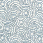 Patterned fabric with concentric circle design in blue on a white background