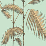 Palm leaf design on a light green background