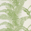 Ferns Wallpaper Sample - Sage