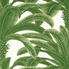 Queen Palm Wallpaper Sample - Green