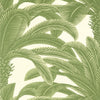 Queen Palm Wallpaper Sample - Sage