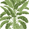 Banana Tree Wallpaper Sample - Green