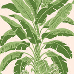Green banana leaf pattern on a pink background
