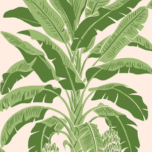Green banana leaf pattern on a pink background