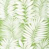 Siesta Key Wallpaper Sample - Green