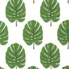 Monstera Wallpaper Sample - Green