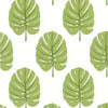 Monstera Wallpaper Sample - Apple Green