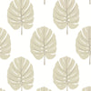 Monstera Wallpaper Sample - Beige