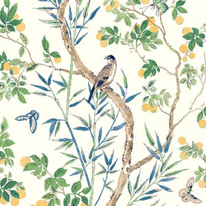 Claire Fabric