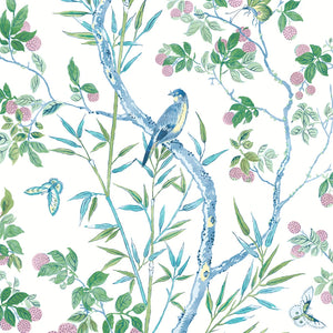 Claire Fabric