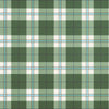 Douglas Plaid Wallpaper Sample - Green