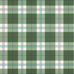 A green and white plaid pattern with light blue and thin dark lines, filling the entire frame.