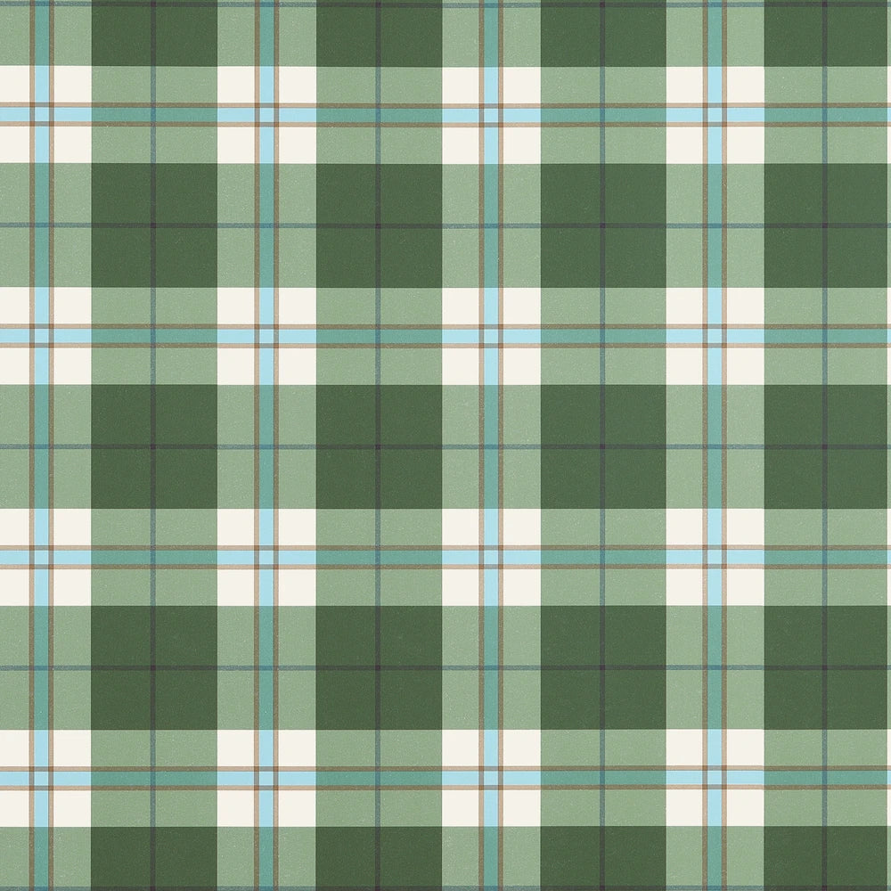 A green and white plaid pattern with light blue and thin dark lines, filling the entire frame.