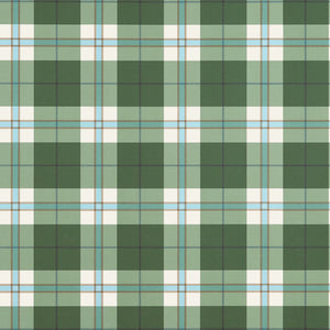 A green and white plaid pattern with light blue and thin dark lines, filling the entire frame.