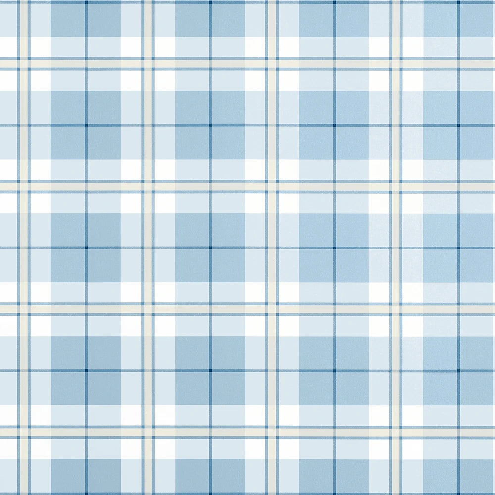 A repeating plaid pattern in light blue, medium blue, white, and thin dark blue lines, filling the entire frame.