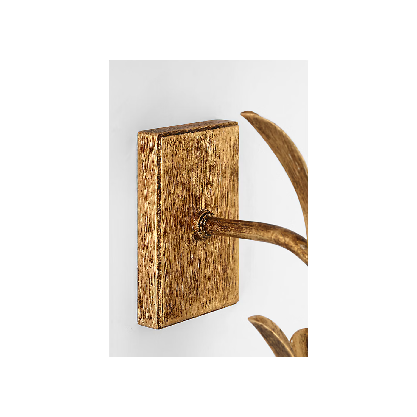 Close-up of a brass sconce base on a white background