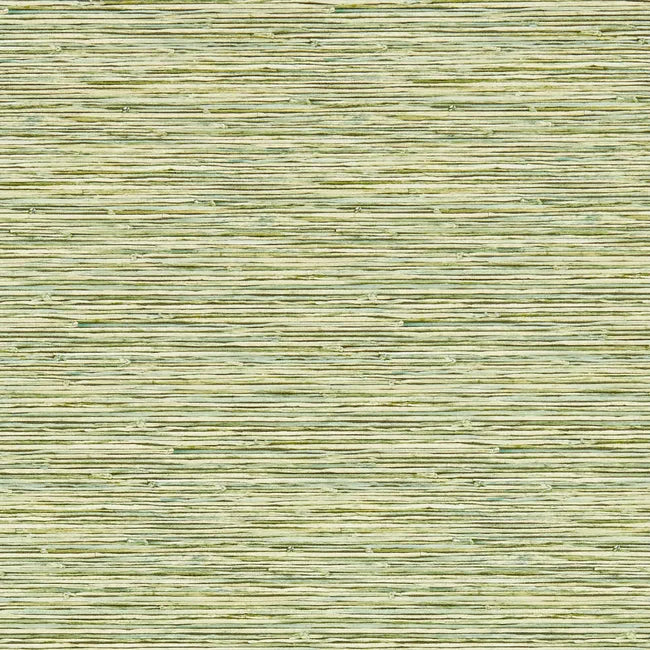 Close-up of a green woven texture