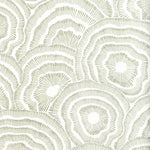 Pattern of concentric circles on a white background