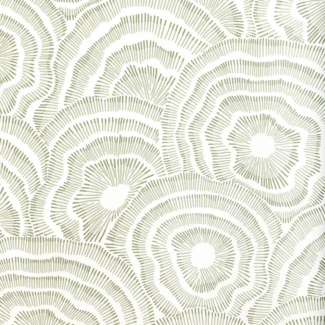 Pattern of concentric circles on a white background