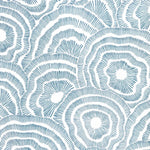 Pattern of concentric circles in blue on a white background