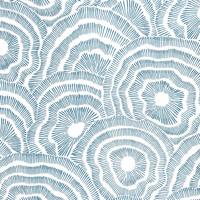 Pattern of concentric circles in blue on a white background