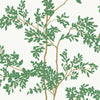 Silhouette Blooms Wallpaper - Green