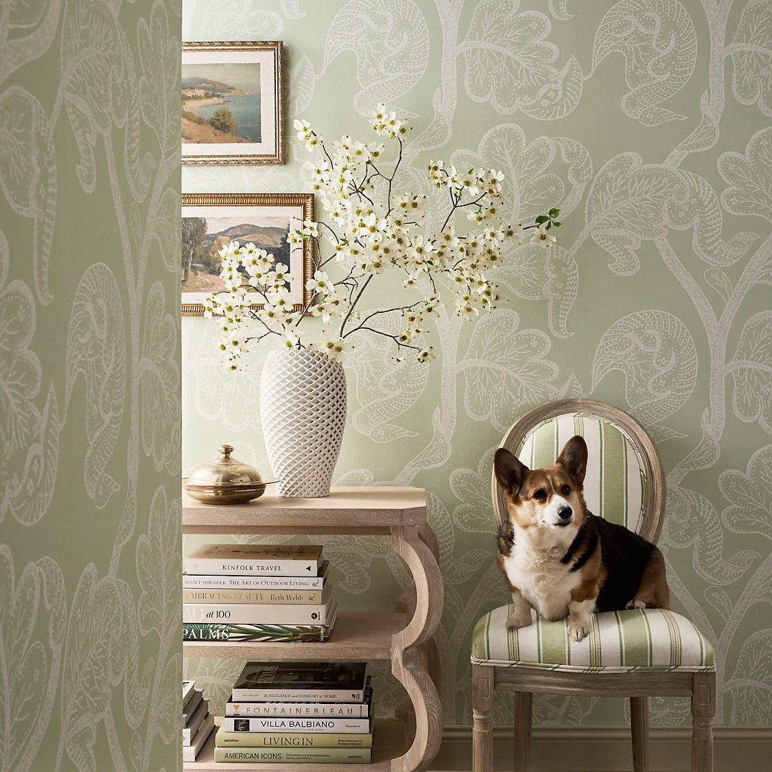 A dog sits on a striped upholstered chair in a styled interior room with pale green patterned wallpaper, a side table, books, and a vase of white blossoms.