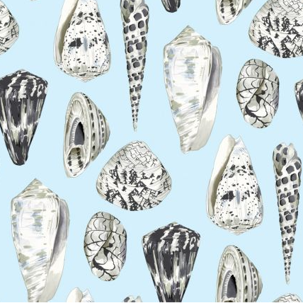 Coquina Wallpaper Sample