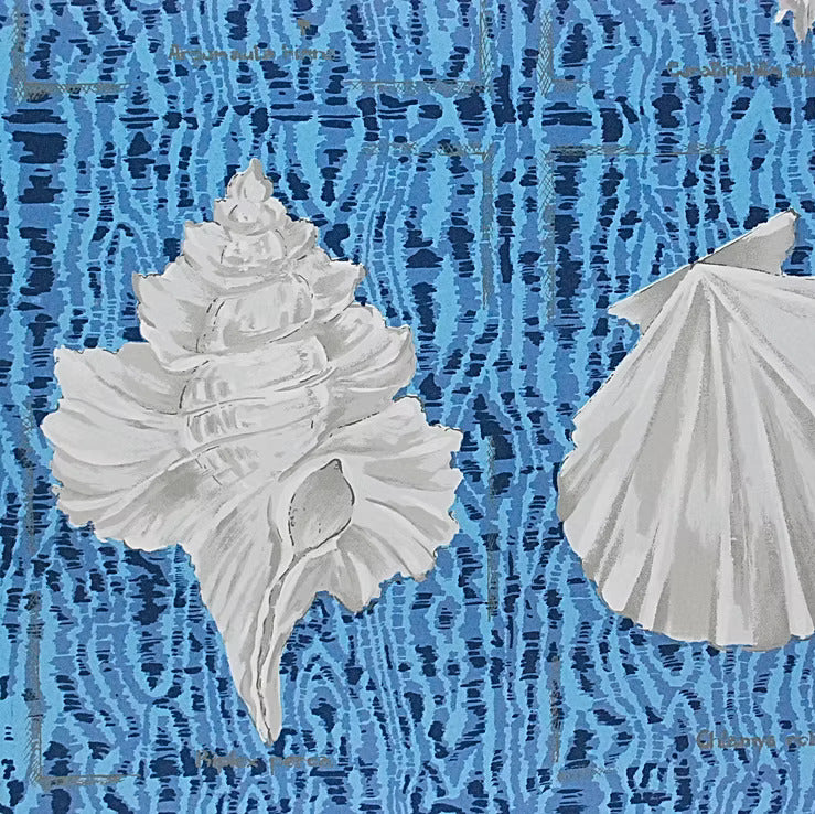 Sea Shell Motif on blue background 