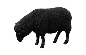 Black sheep figure on a white background