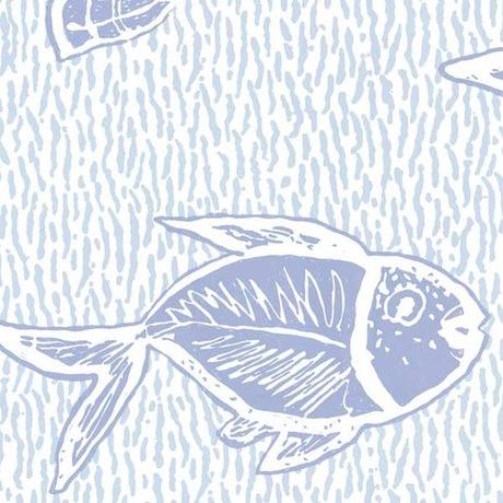 Fish illustration on a textured light blue background
